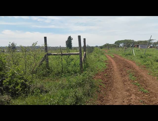 5HA FARM FOR SALE IN ELIM